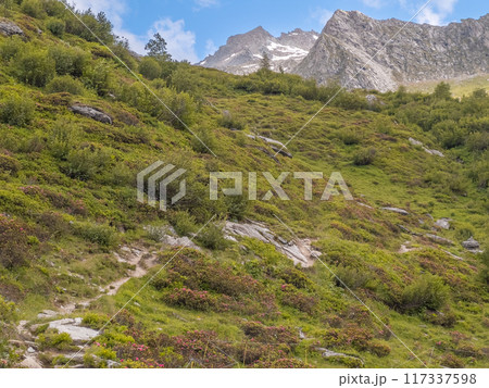 Randonnee crepuscule in the Vallee de Chaviere in Vanoise national park in France Randonnee crepuscule in the Vallee de Chaviere in Vanoise national park in France 117337598