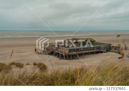 Terschelling island in the Wadden Sea - Holland or the Netherlands 117337601