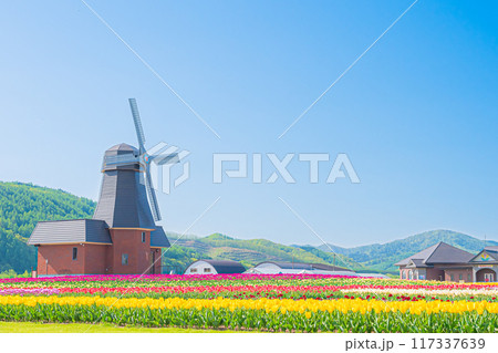 かみゆうべつチューリップ公園 117337639