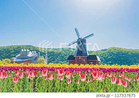 かみゆうべつチューリップ公園 117337675