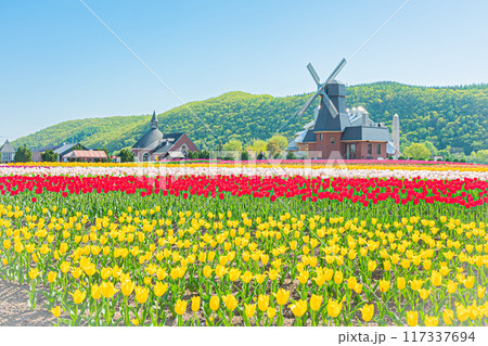 かみゆうべつチューリップ公園 かみゆうべつチューリップ公園 117337694