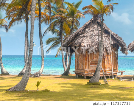 San Blas islands in Panama, tropical beach San Blas islands in Panama, tropical beach 117337735