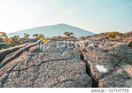 Hiking the Piton de la Fournaise volcano - Reunion, France - Africa 117337758