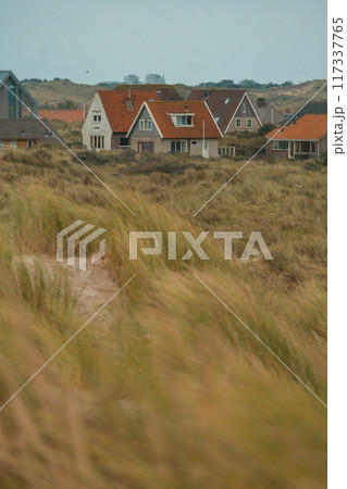 Terschelling island in the Wadden Sea - Holland or the Netherlands Terschelling island in the Wadden Sea - Holland or the Netherlands 117337765