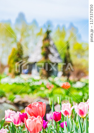 春の上野ファームの風景 117337850