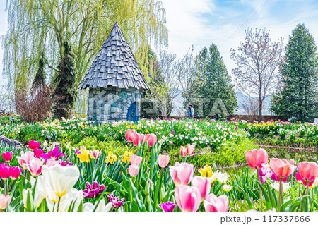 春の上野ファームの風景 117337866