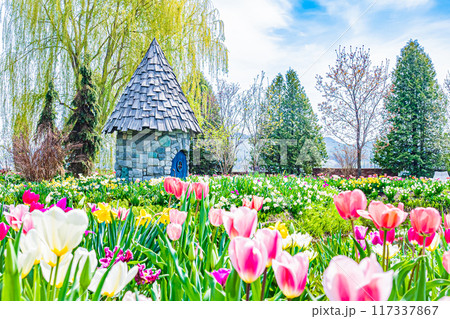 春の上野ファームの風景 117337867