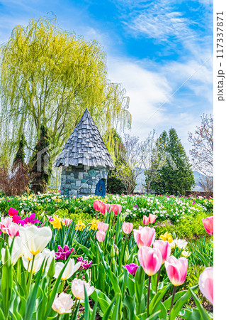 春の上野ファームの風景 117337871