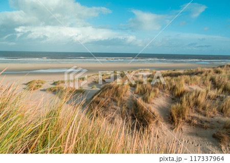 Terschelling island in the Wadden Sea - Holland or the Netherlands Terschelling island in the Wadden Sea - Holland or the Netherlands 117337964