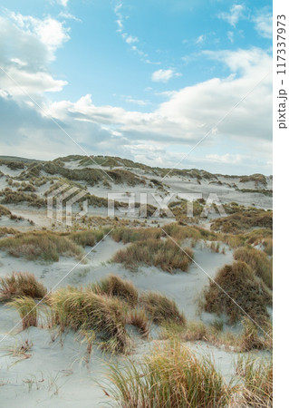 Terschelling island in the Wadden Sea - Holland or the Netherlands Terschelling island in the Wadden Sea - Holland or the Netherlands 117337973