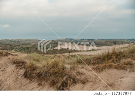 Terschelling island in the Wadden Sea - Holland or the Netherlands Terschelling island in the Wadden Sea - Holland or the Netherlands 117337977