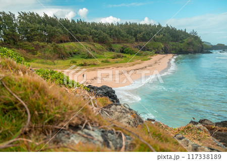 Gris gris beach in Mauritius 117338189
