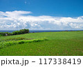沖縄・万座毛の景色（入口入ってすぐ） 117338419