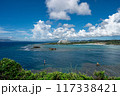 沖縄・万座毛の絶景（ANAインターコンチネンタルホテル側） 117338421