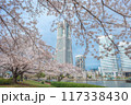 横浜・みなとみらいのランドマークタワーと桜 117338430