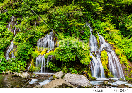 清里高原 吐竜の滝 清里高原 吐竜の滝 117338484