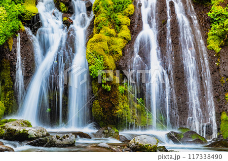 清里高原 吐竜の滝 清里高原 吐竜の滝 117338490