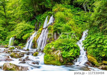 清里高原 吐竜の滝 117338494