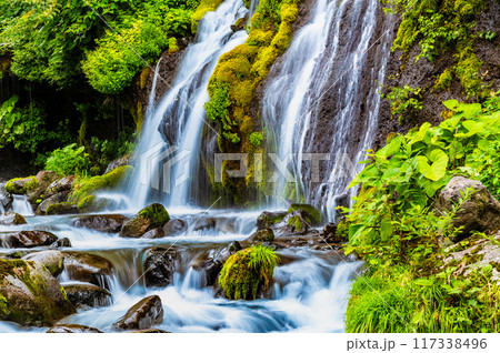 清里高原 吐竜の滝 117338496