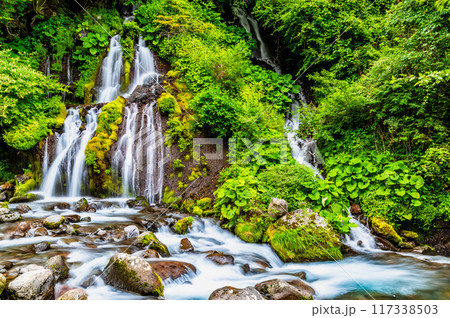 清里高原 吐竜の滝 清里高原 吐竜の滝 117338503