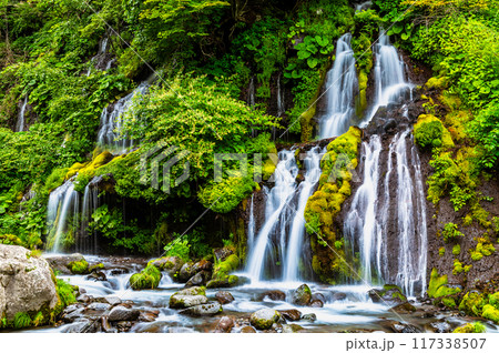 清里高原 吐竜の滝 清里高原 吐竜の滝 117338507