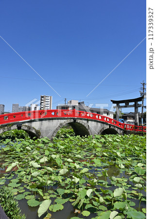 青井阿蘇神社・禊橋 青井阿蘇神社・禊橋 117339327