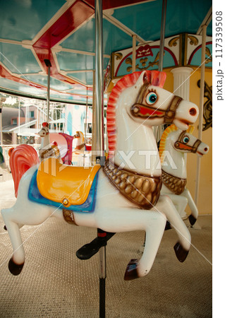メリーゴーランドの木馬 117339508