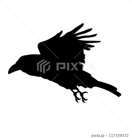Bird Raven Crow Black Silhouette for Icon. 117339572