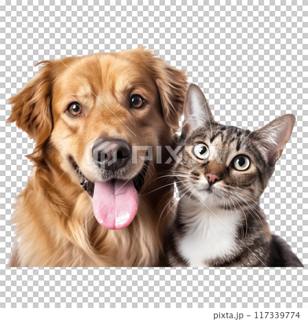 Happy Dog and Curious Cat Portrait PNG Transparency Happy Dog and Curious Cat Portrait PNG Transparency 117339774