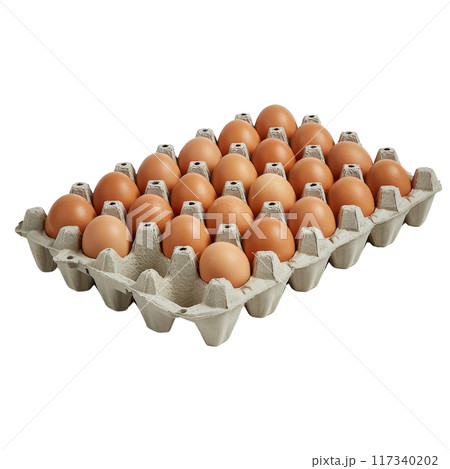 Carton of Multiple Brown Eggs in Rows PNG Transparency 117340202