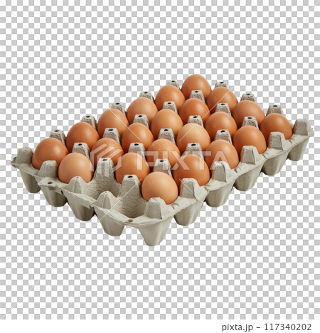 Carton of Multiple Brown Eggs in Rows PNG Transparency 117340202