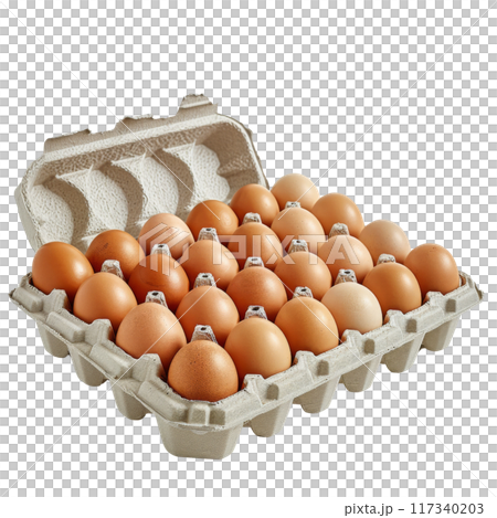 Carton of Multiple Brown Eggs in Rows PNG Transparency 117340203
