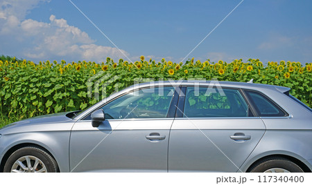 ひまわり畑と自動車 117340400