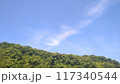 山の上に広がる青空 117340544