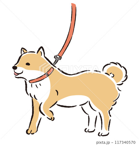 散歩中の柴犬の手描きイラスト 散歩中の柴犬の手描きイラスト 117340570