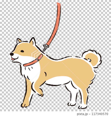 散歩中の柴犬の手描きイラスト 散歩中の柴犬の手描きイラスト 117340570