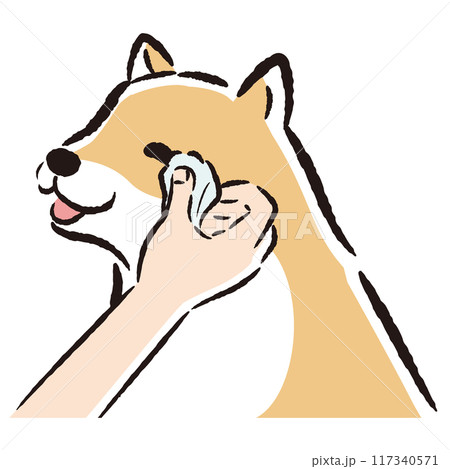 目元のケア（目ヤニの拭きとり）をする犬の手描きイラスト 117340571