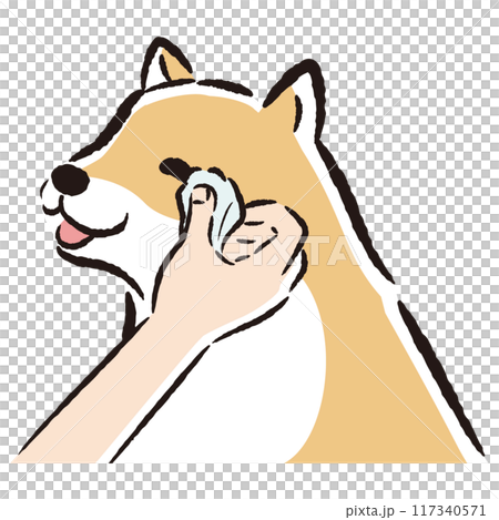 目元のケア（目ヤニの拭きとり）をする犬の手描きイラスト 117340571