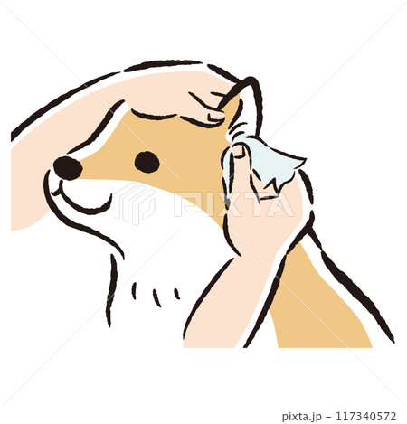 犬の耳掃除の手描きイラスト 犬の耳掃除の手描きイラスト 117340572