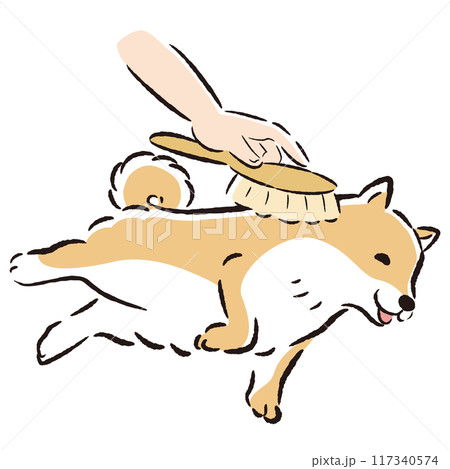 犬をブラッシングするイラスト 犬をブラッシングするイラスト 117340574