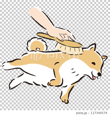 犬をブラッシングするイラスト 犬をブラッシングするイラスト 117340574