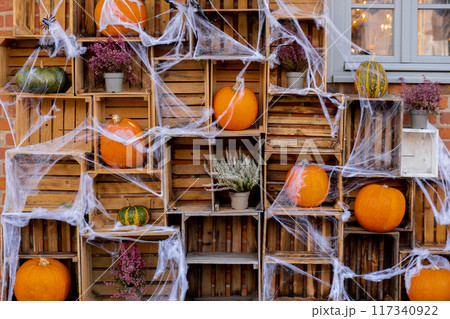 Exterior design cozy atmospheric halloween pumpkins in wooden boxes decorated on porch. Autumn leaves and fall flowers celebration holiday Thanksgiving October season Exterior design cozy atmospheric halloween pumpkins in wooden boxes decorated on porch. Autumn leaves and fall flowers celebration holiday Thanksgiving October season 117340922