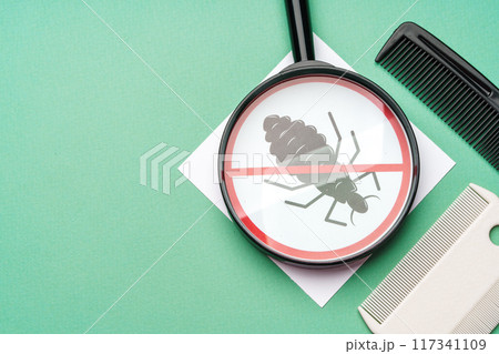 Anti lice equipment on green background top view 117341109