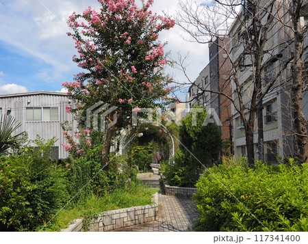 谷端川緑道(豊島区) 谷端川緑道(豊島区) 117341400