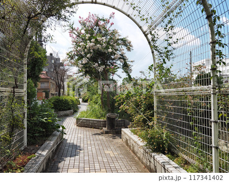 谷端川緑道(豊島区) 谷端川緑道(豊島区) 117341402