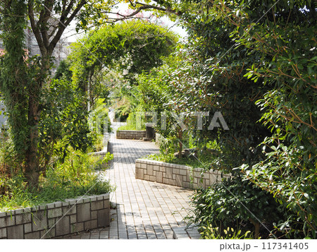 谷端川緑道(豊島区) 117341405