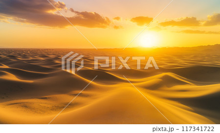 夕焼け砂漠 117341722