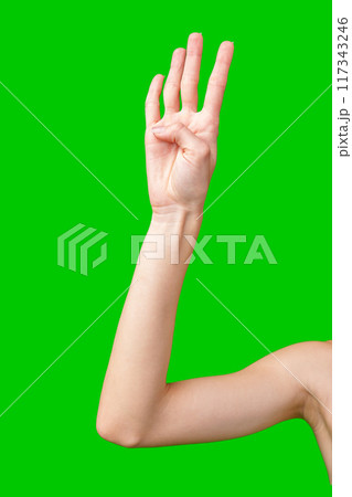 Woman's Hand Showing Three Fingers Raised Against a Green Screen Background 117343246