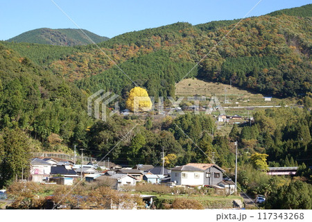 福定の大銀杏　遠景 117343268