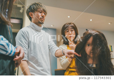 beauty parlor 117343301